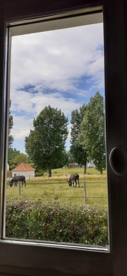 Chambres D'Hotes B&B Cote D'Opale La Fermette Du Lac アルドル エクステリア 写真
